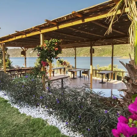 ホテル Unique Boutique For Chillout Getaway *